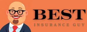 Best Insurance Guy horizontal logo